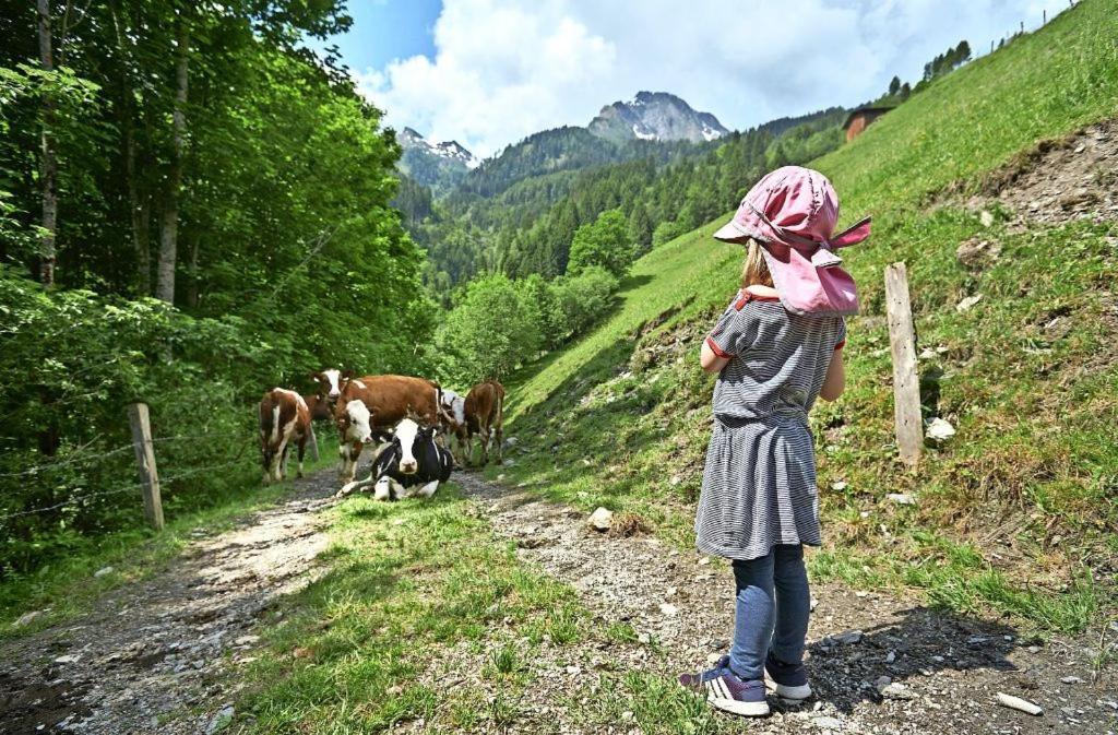 Bed And Breakfast - Die Aelplersuit Fuer Backpackers Im Berghuesli Linthal ภายนอก รูปภาพ